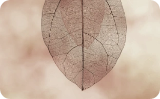 Sustainablity Reports