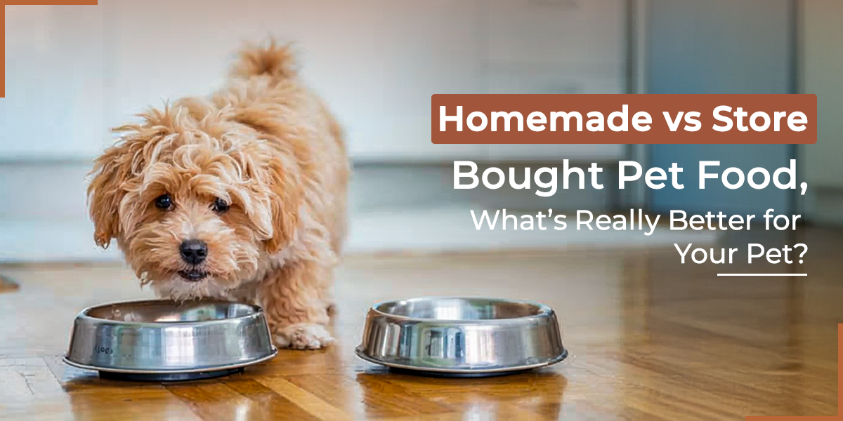 Homemade vs Store-Bought Pet Food: What’s Really Better for Your Pet?